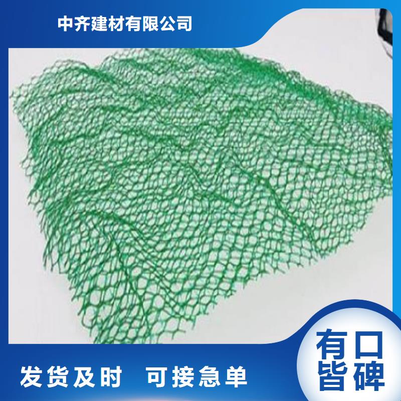 三维植被网双向土工格栅品质优选