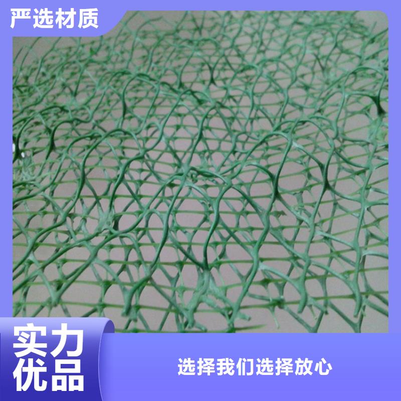 三维植被网原厂制造