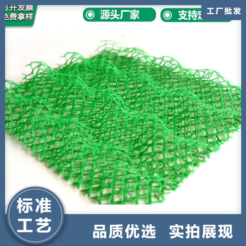 三维植被网【HDPE土工膜】支持定制批发