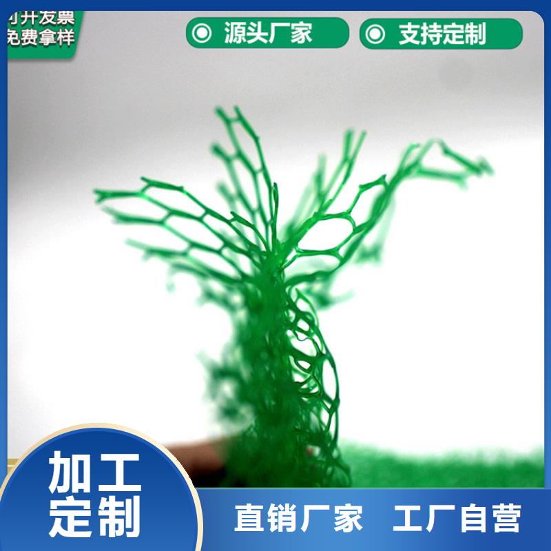 三维植被网_防渗膜厂家现货供应