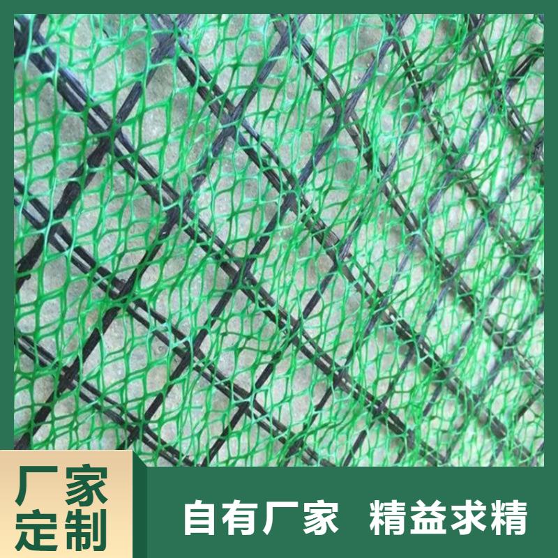 三维植被网双向土工格栅品质优选