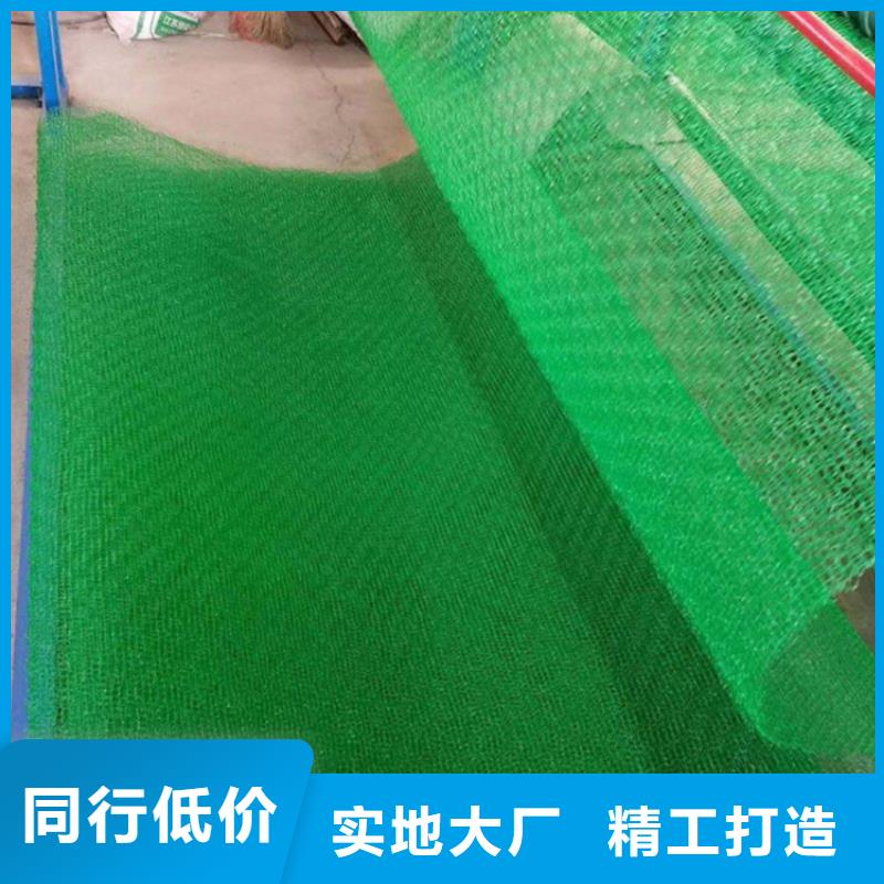三维植被网HDPE土工膜敢与同行比价格
