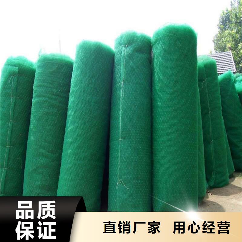 三维植被网HDPE土工膜敢与同行比价格
