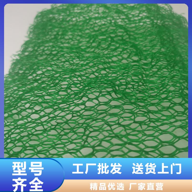 三维植被网钢塑土工格栅厂家直销直供
