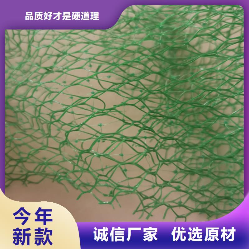 三维植被网双向土工格栅品质优选