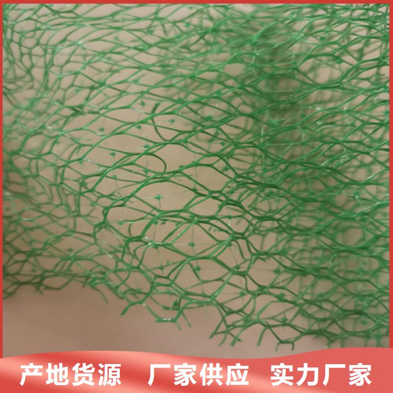 三维植被网波纹管源厂直接供货