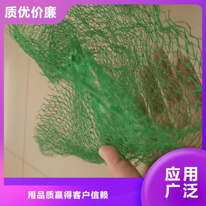 三维植被网土工布真材实料