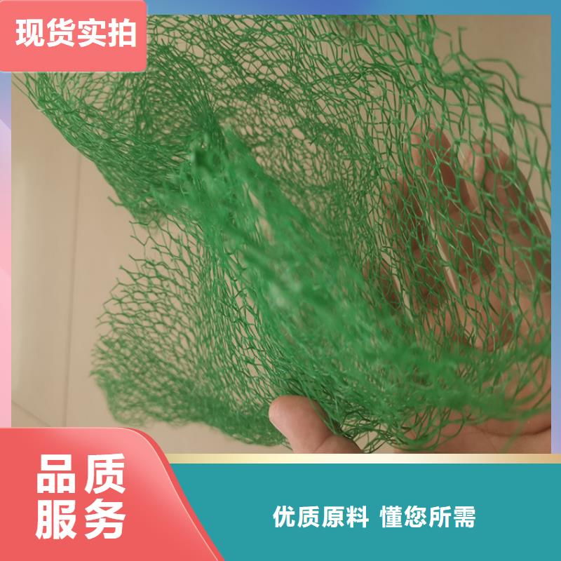 三维植被网双向土工格栅品质优选