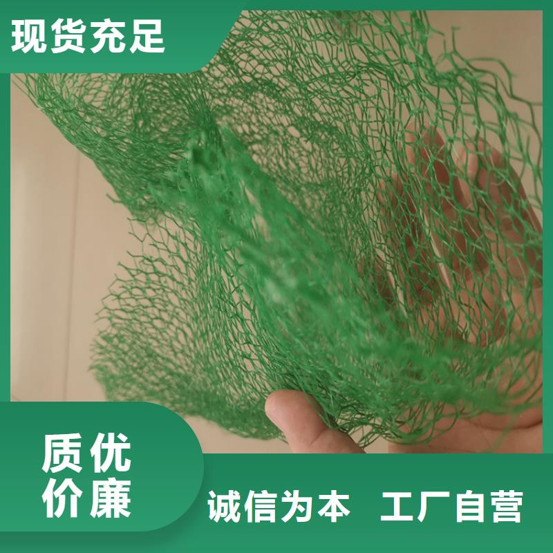 三维植被网透水管优选厂商