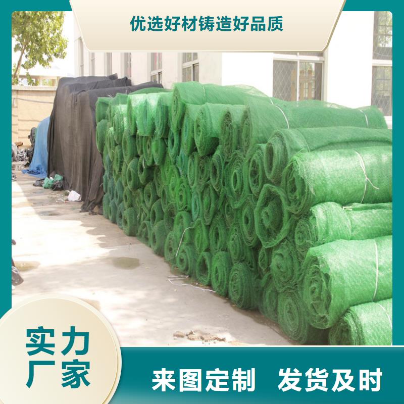 三维植被网 土工膜拒绝差价