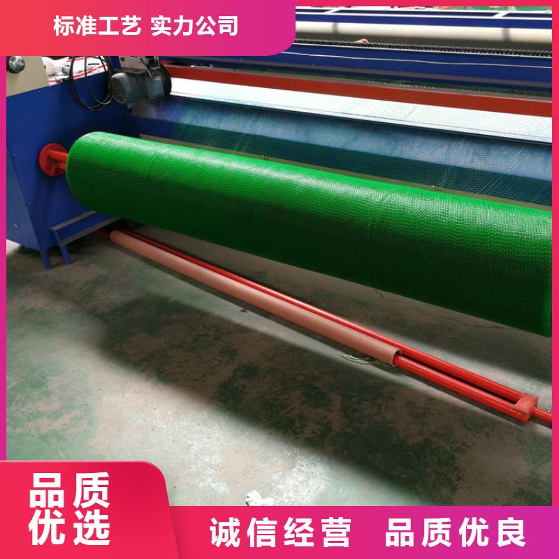 三维植被网HDPE土工膜库存齐全厂家直供