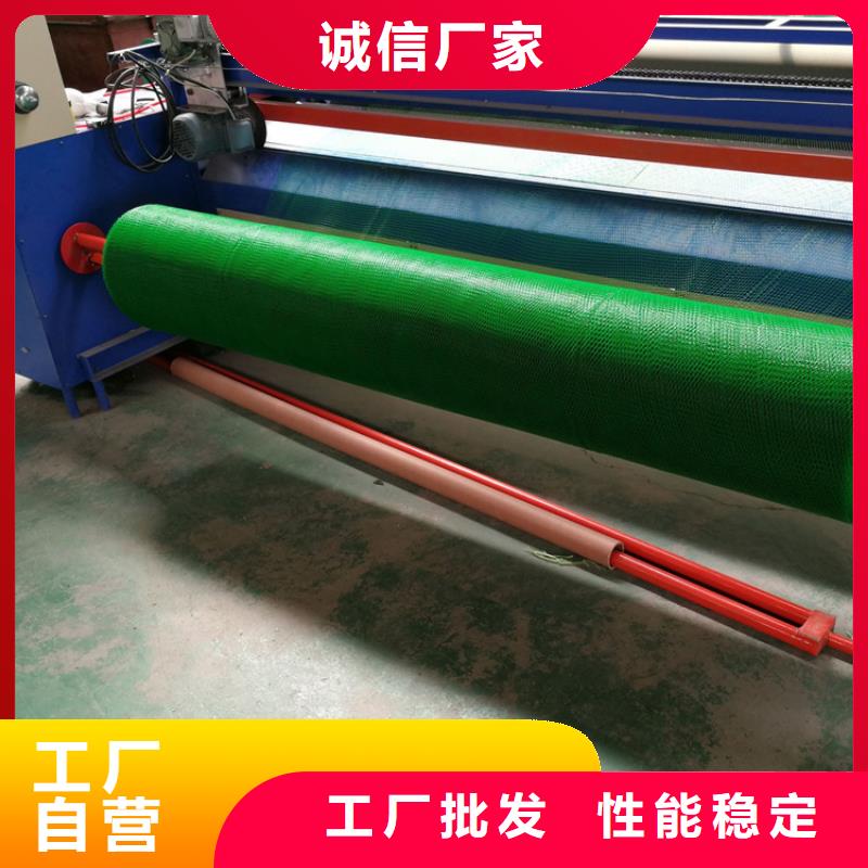 三维植被网原厂制造