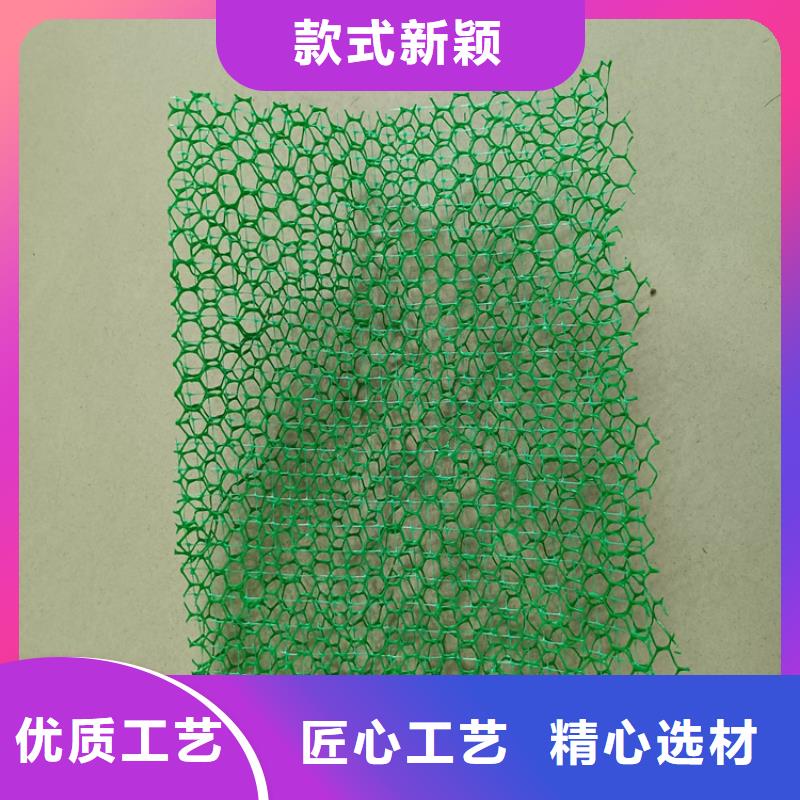 三维植被网_【土工格室】品质服务