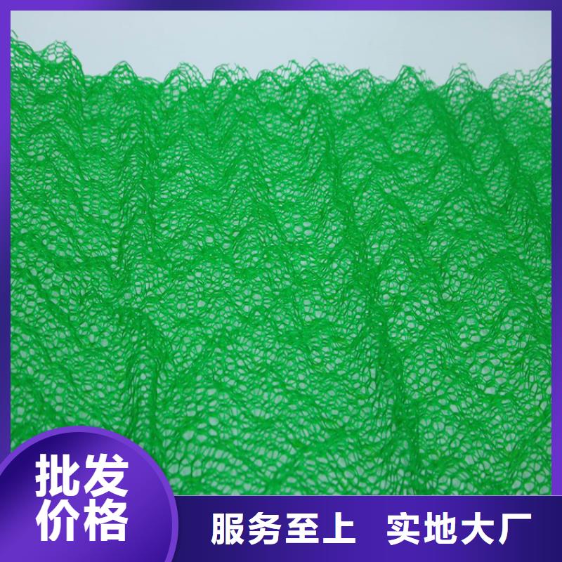 三维植被网土工格栅专注产品质量与服务
