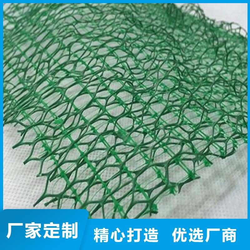 三维植被网土工格栅专注产品质量与服务