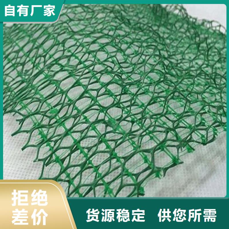 三维植被网_【土工格室】品质服务