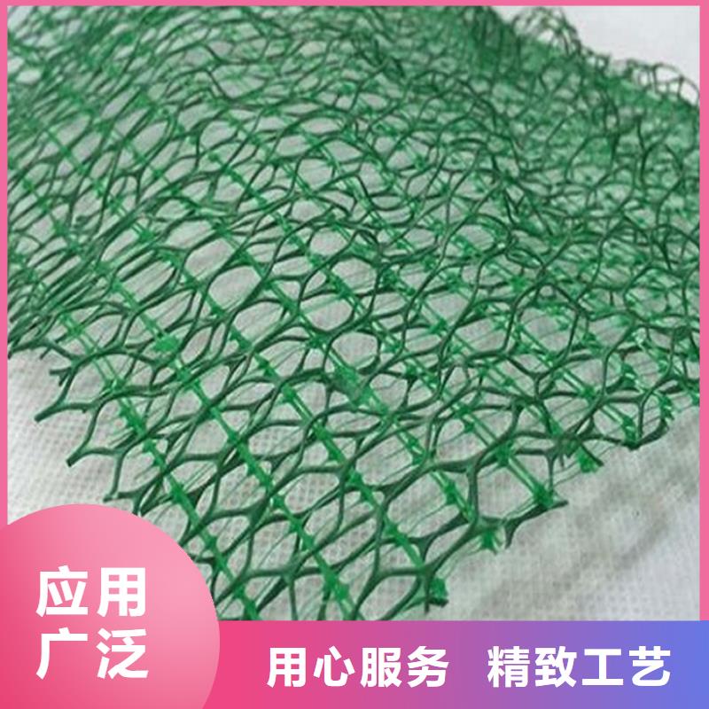 三维植被网硬式透水管质量优选