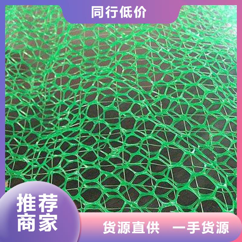 【三维植被网】土工格室高标准高品质
