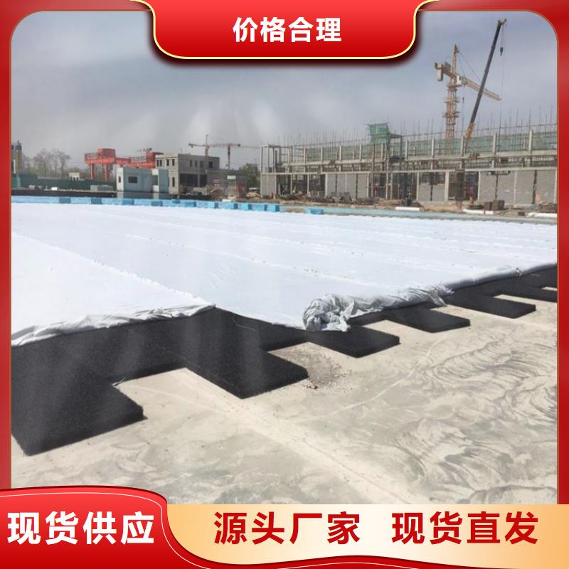【土工席垫】车库顶板排水板实力工厂