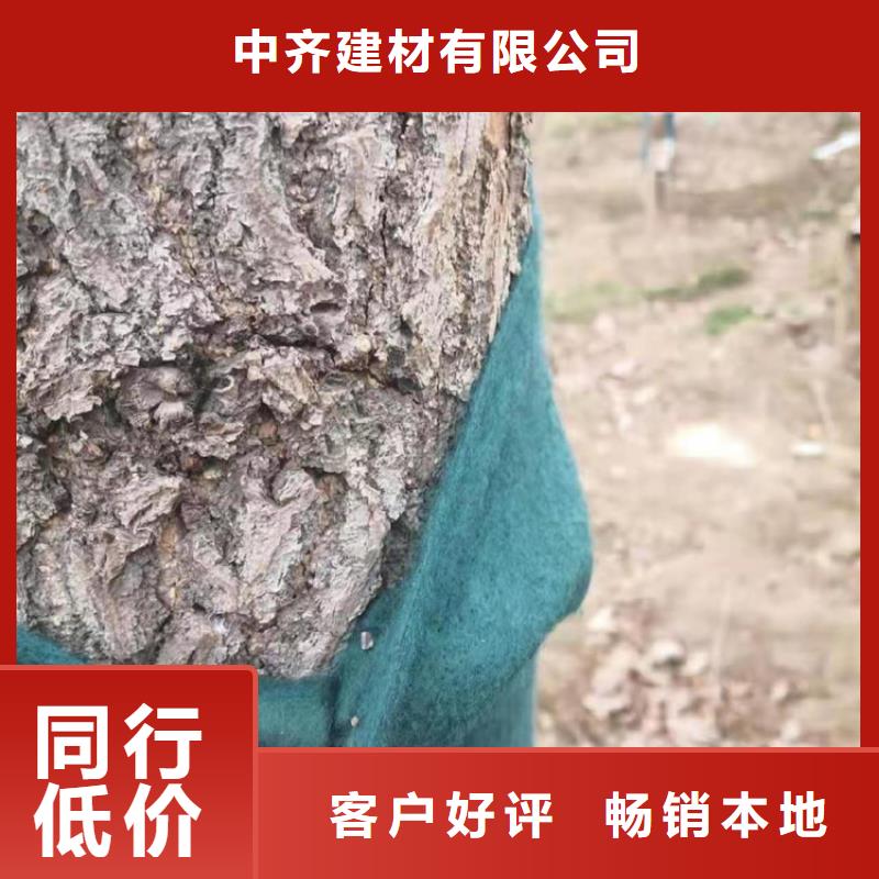 裹树布防水毯资质认证