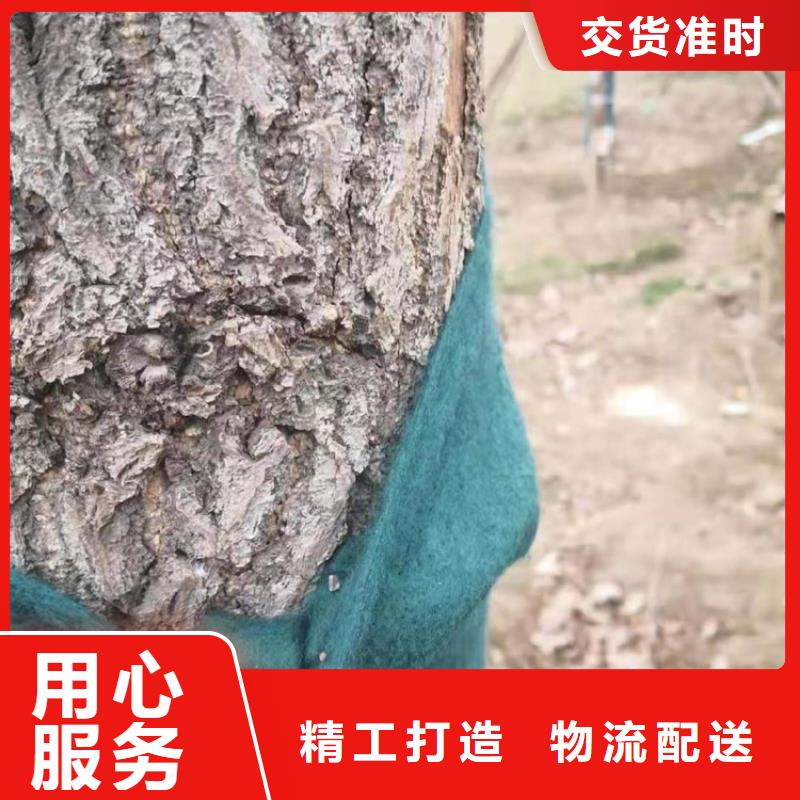 裹树布,土工网垫合作共赢