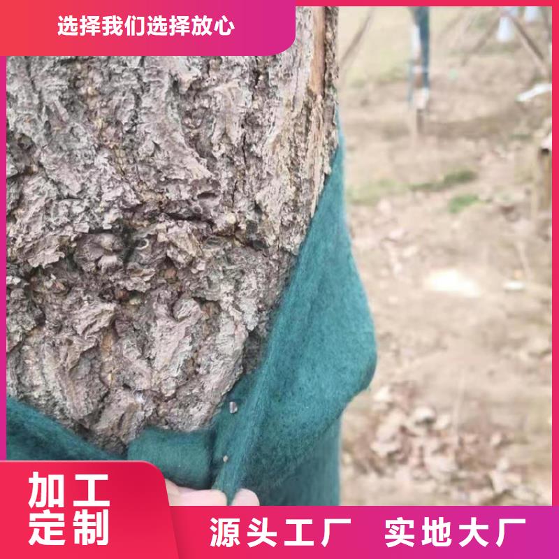【裹树布】_HDPE土工膜种类齐全