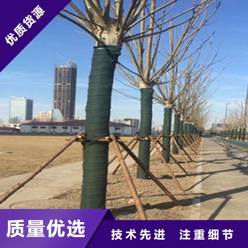 【裹树布_土工格栅专注细节专注品质】