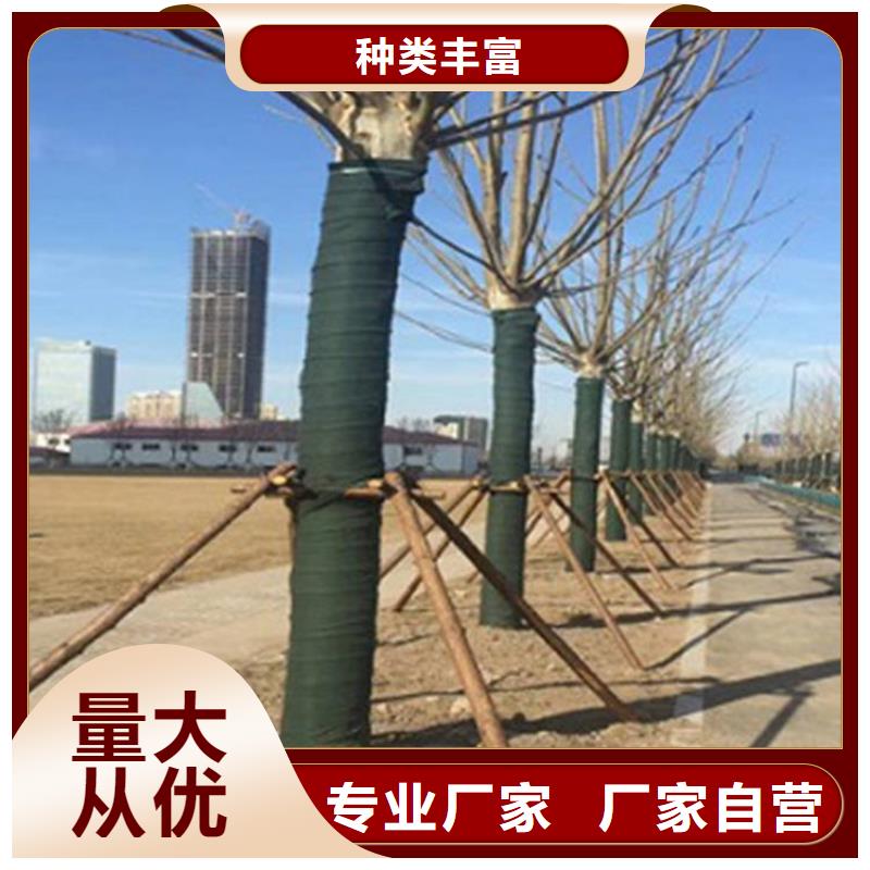 裹树布三维植被网品质好才是硬道理