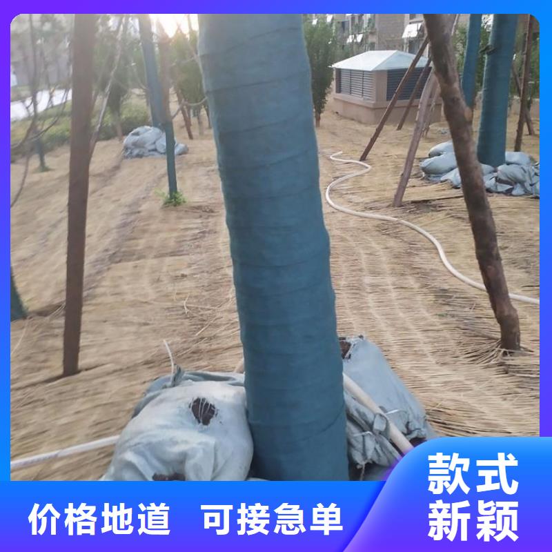 裹树布三维植被网厂家