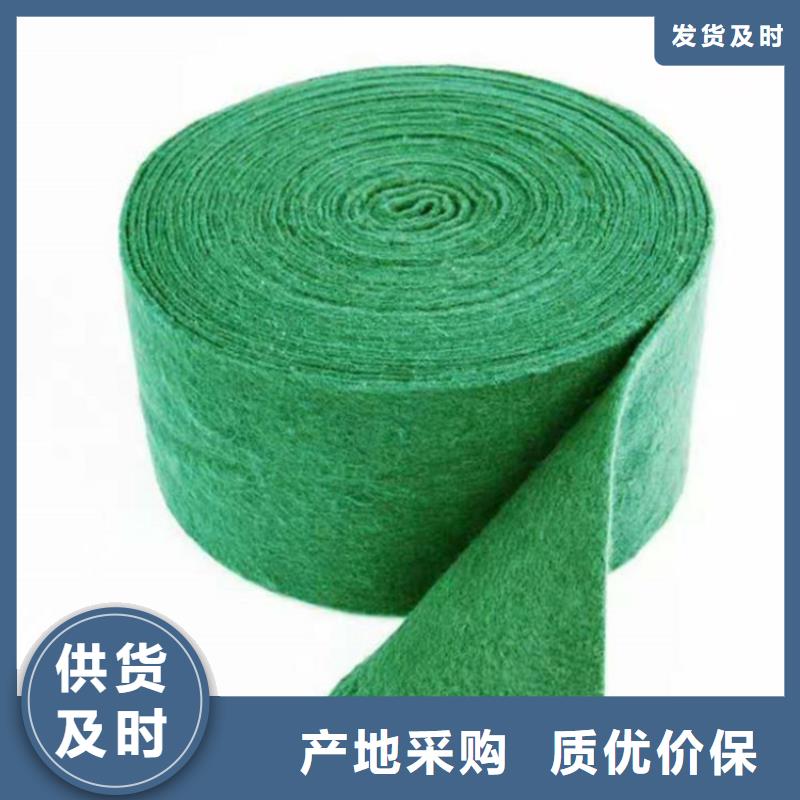裹树布-防水板质量为本