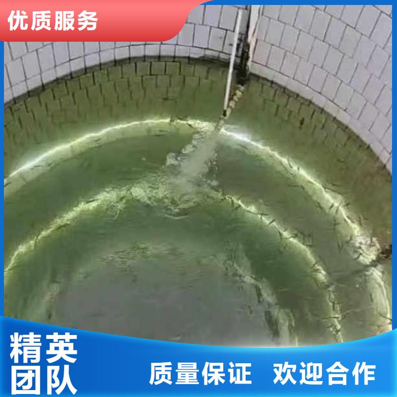 水下施工潜水打捞品质服务