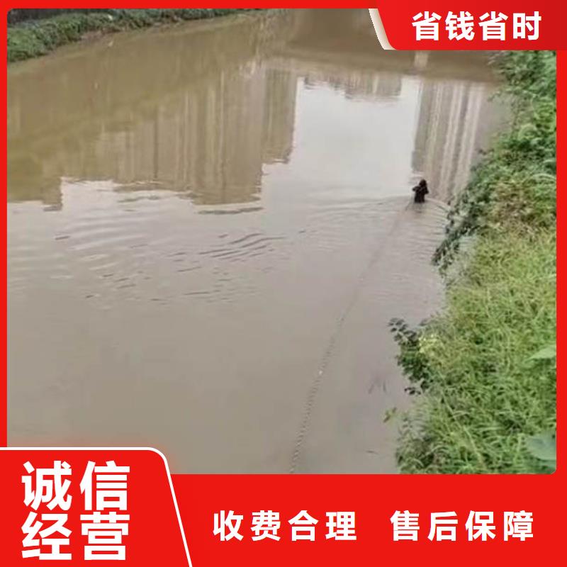 水下施工-气囊封堵实力商家