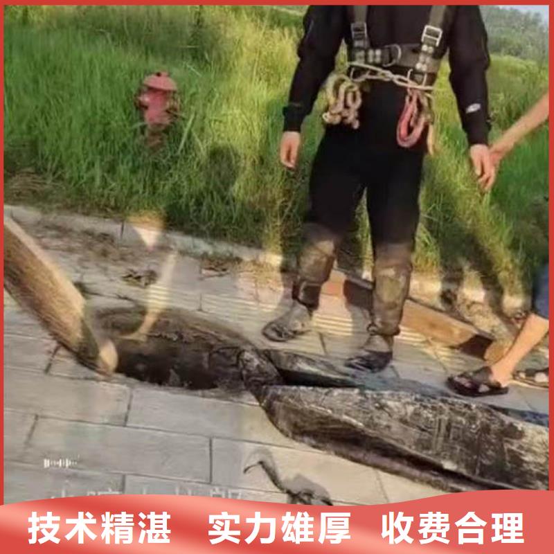 水下施工-气囊封堵实力商家