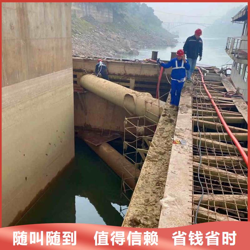 潜水员服务本地潜水搜索团队诚信