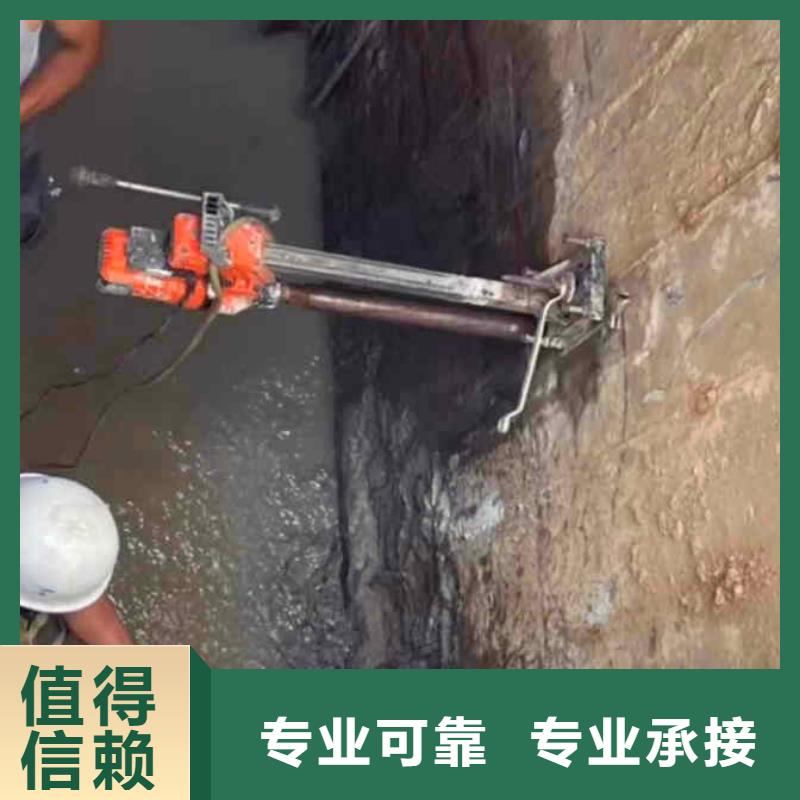 潜水员服务水下照相服务品质卓越