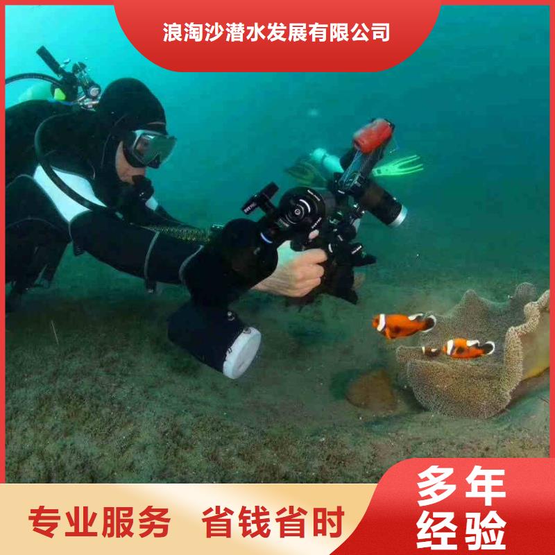 潜水员服务本地潜水救援技术可靠