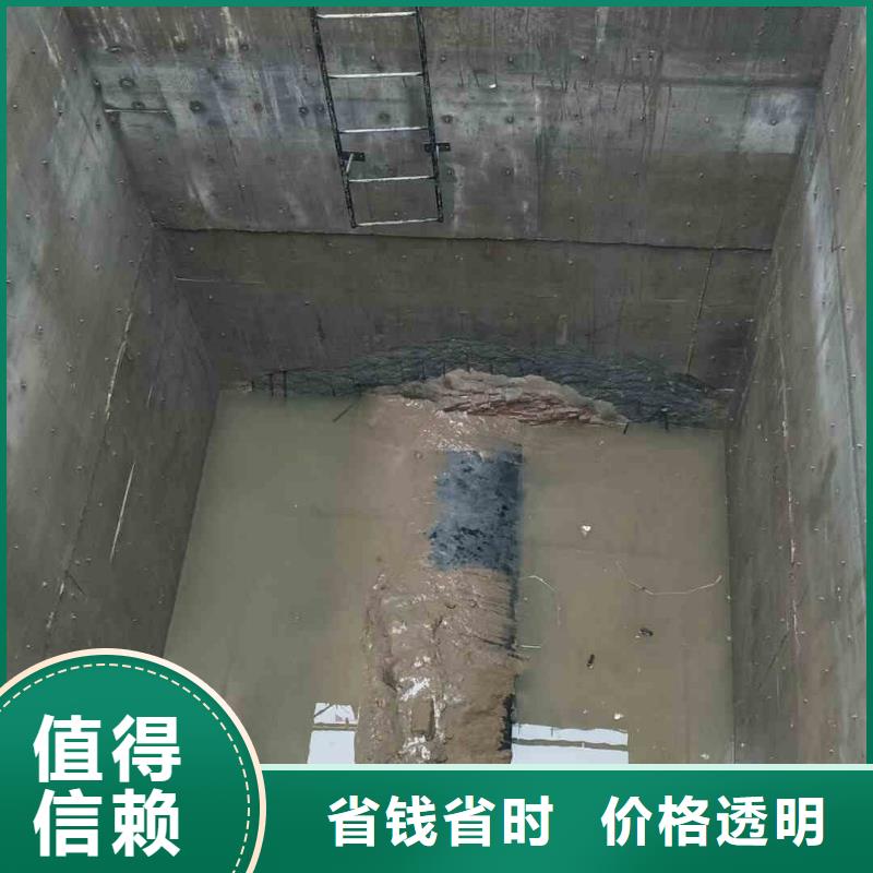 潜水员服务本地潜水搜索团队诚信