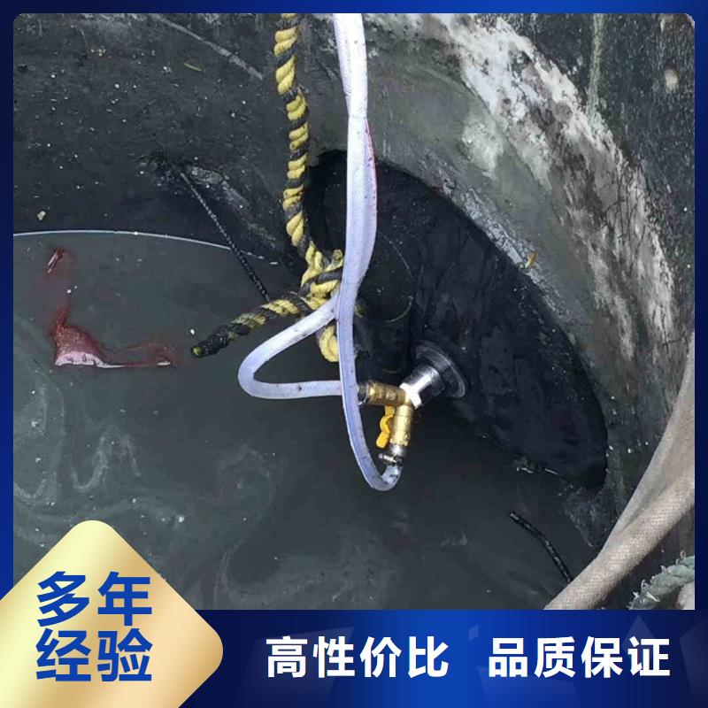 潜水员服务本地潜水搜索团队诚信