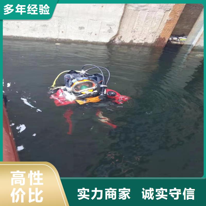 潜水员知名公司