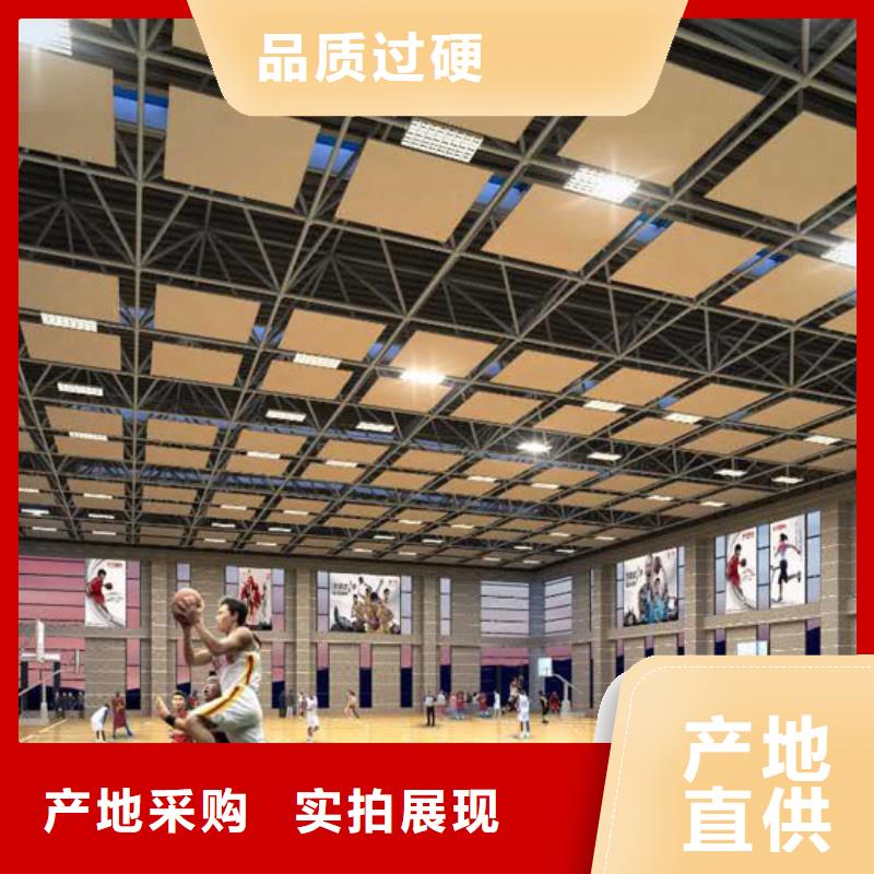 广西省本地凯音专业体育馆吸音改造