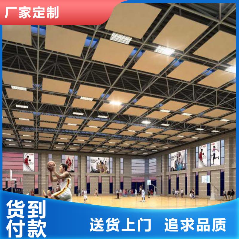 河南省源头厂家经验丰富<凯音>专业体育馆声学改造公司--2024最近方案/价格