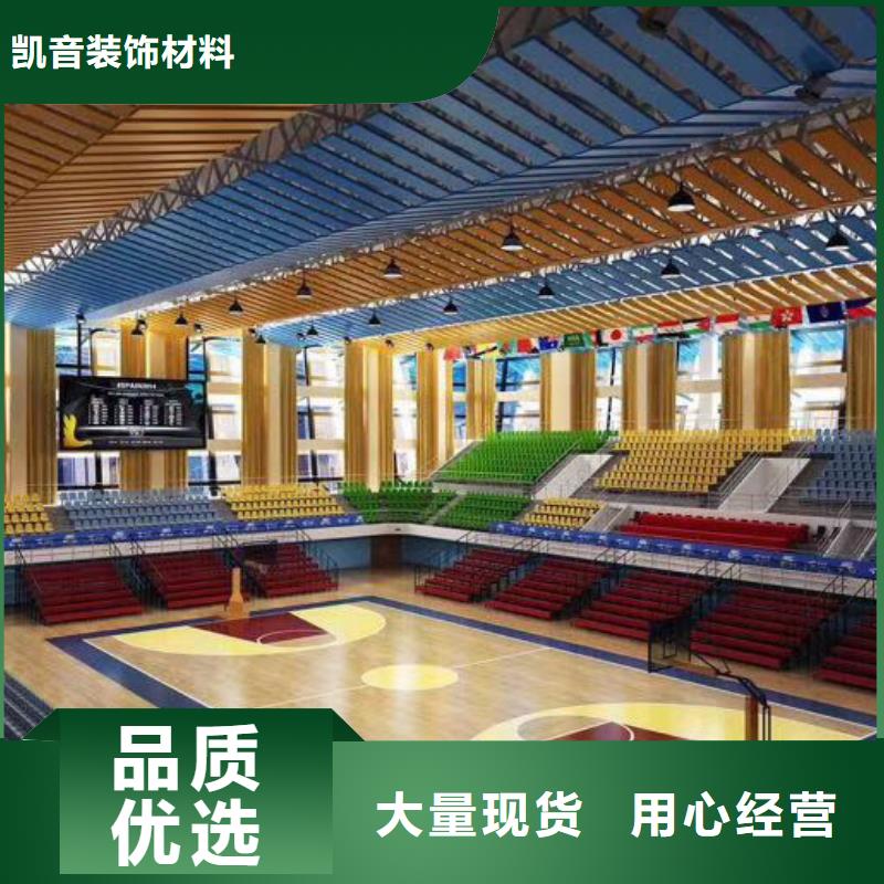 广西省本地凯音专业体育馆吸音改造