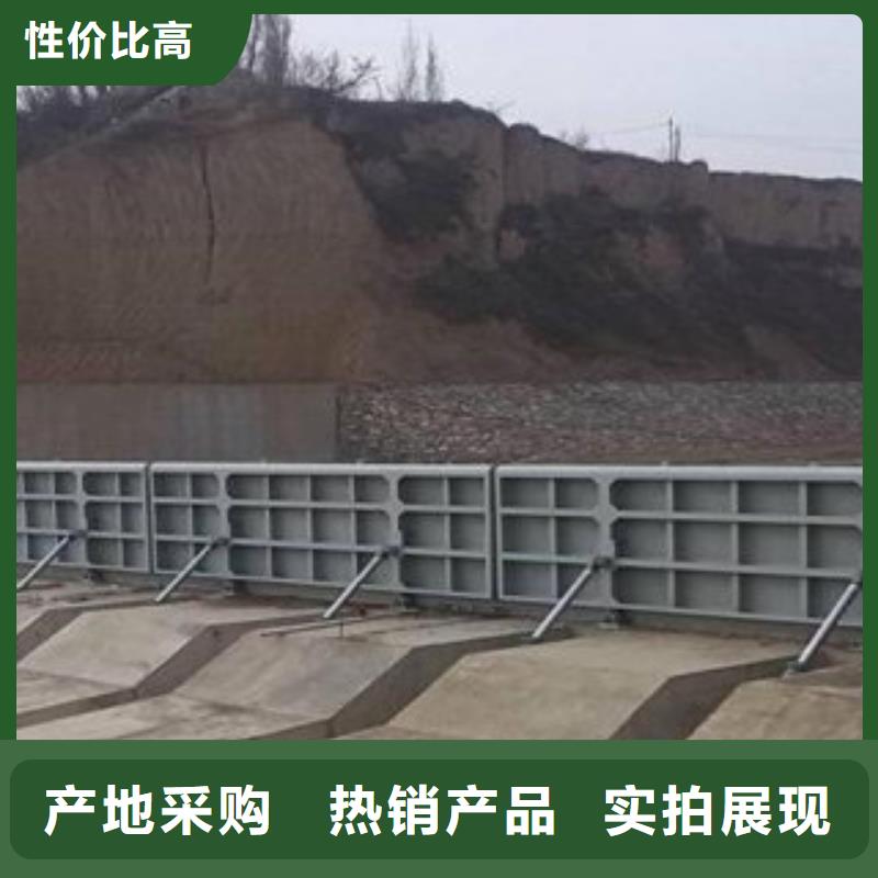 底轴液压钢坝匠心品质