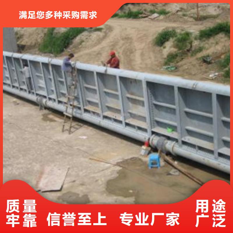 钢坝闸门多少钱