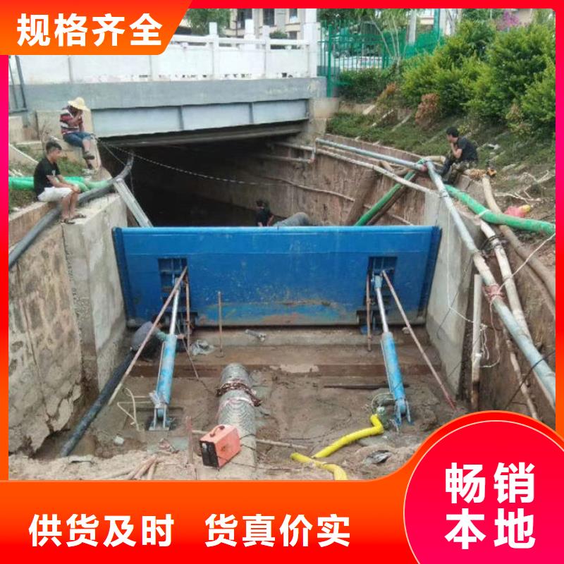 翻板闸门支持定做批发