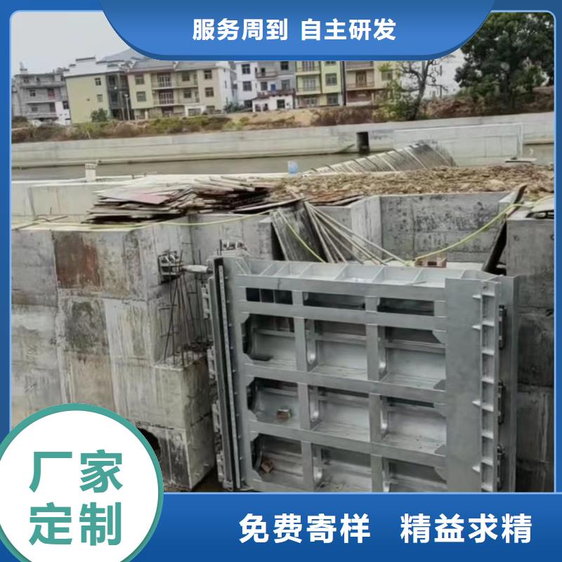 液压合页坝厂家直接供货