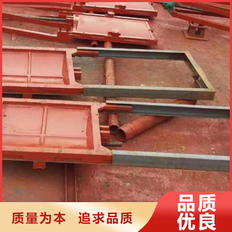双向铸铁闸门批发