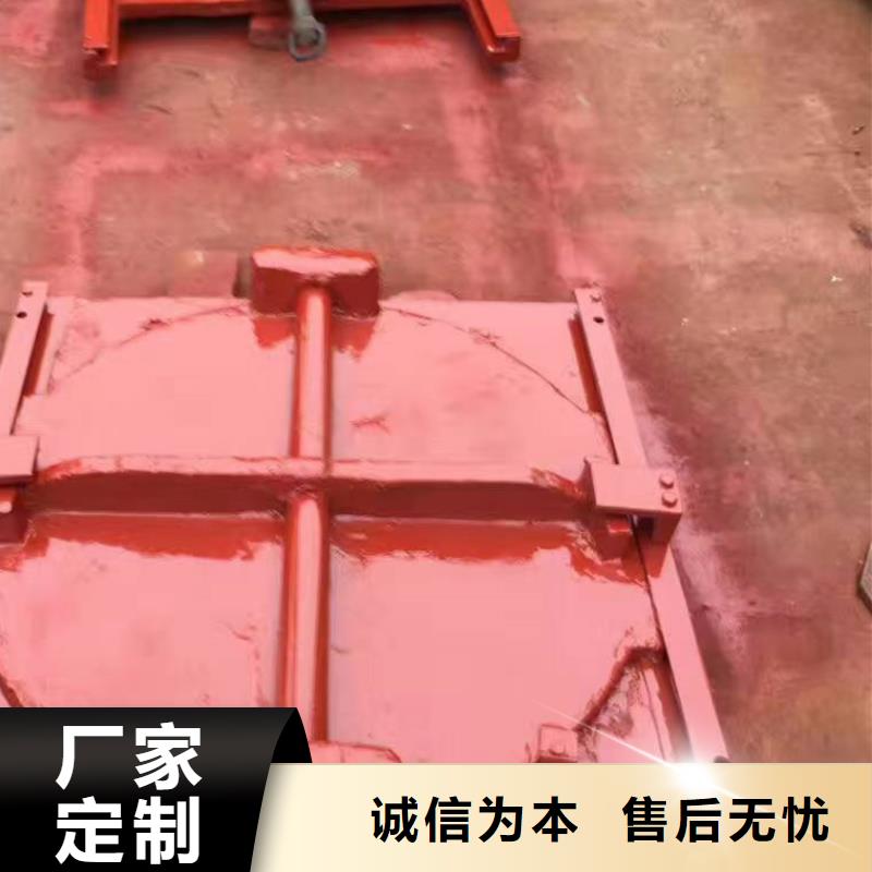双向铸铁闸门批发