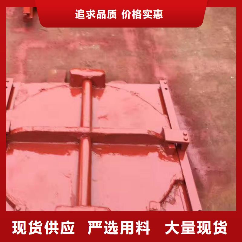 平面铸铁闸门线条优美