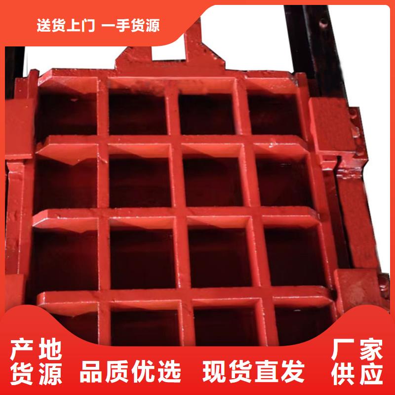 铸铁方闸门厂家定制
